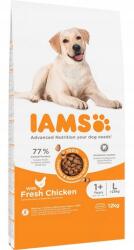 Iams Vitality Felnőtt Large száraz Eledel 12 kg