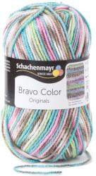 Schachenmayr Bravo Color 02083 Mineral Jacquard Kötőfonal (9801421-02083-SCHACHENMAYR)