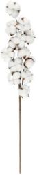  4Living Pamutág Dekoratív Ág - 70 cm, Természetes Dekoráció