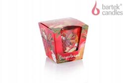 Bartek Candles Üveg karácsonyi gyertya Mézeskalács fahéjjal és almával 115g (5901685057417)
