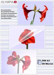 Olympia Lamináló fólia A3 80 mic. 50 db (4030152091744)