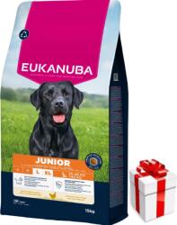EUKANUBA EUKANUBA Junior Large 15kg + ingyenes meglepetés a kutyának