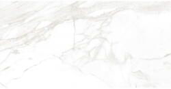 Mexen Faro Szürke mázas gres rek. G1, padló- és falburkoló lap 120 x 60 cm, fényes - TL138-120-060-00 (TL138-120-060-00)