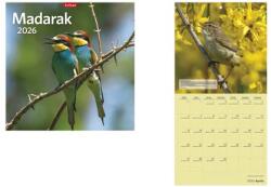 TopTimer Naptár, fali, TOPTIMER Madarak (NKT09418U)