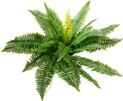  EUROPALMS Boston Fern, artificial plant, 53cm (82519934)
