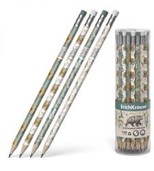 ErichKrause Natural Life háromszögletű radíros grafitceruza - HB - többféle (FR-55261)