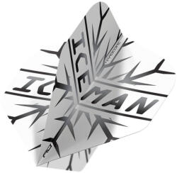 Red dragon darts Dart toll Red Dragon Hardcore Premium Gerwyn Price szürke, extra vastag 100 mikron