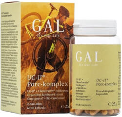 GAL Vitamin GAL UC-II Porc-komplex 60 darab (ST7843) - papir-bolt