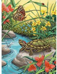 Royal & Langnickel Számozott kifestő készlet, akrilfesték+ecset, 22x30 cm - Teknős