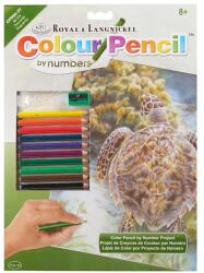 Royal & Langnickel Számozott színező készlet, színesceruzák+hegyező, 22x30 cm - Tengeri teknős