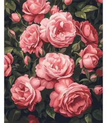Brushme Számozott kifestő készlet, feszített vásznon, 40x50 cm - Illatos bazsarózsa bokor