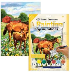 Royal & Langnickel Számozott kifestő készlet, akrilfesték+ecset, 22x30 cm - Lovak a réten