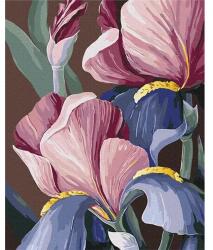 Brushme Számozott kifestő készlet, feszített vásznon, 40x50 cm - Yana Biluhina: Roosters: Írisz