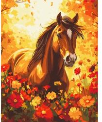 Brushme Számozott kifestő készlet, feszített vásznon, 40x50 cm - Virág szabadság