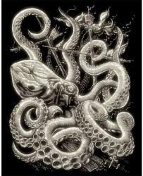 Royal & Langnickel Karckép gravírozó készlet karctűvel, 20x25 cm - Octopus, sötétben világító