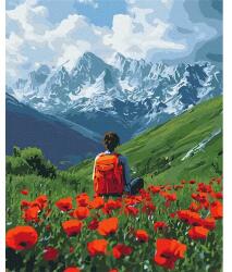 Brushme Számozott kifestő készlet, feszített vásznon, 40x50 cm - Az inspirációhoz vezető út