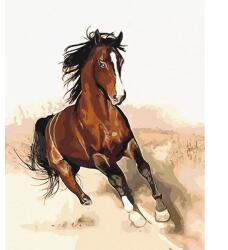 Brushme Számozott kifestő készlet, feszített vásznon, 40x50 cm - Ló mozgásban
