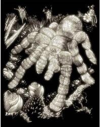 Royal & Langnickel Karckép gravírozó készlet karctűvel, 20x25 cm - Tarantula, sötétben világító
