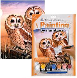 Royal & Langnickel Számozott kifestő készlet, akrilfesték+ecset, 22x30 cm - Baglyok