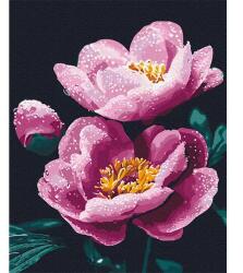 Brushme Számozott kifestő készlet, feszített vásznon, 40x50 cm - Reggeli frissesség