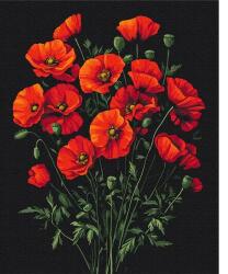 Brushme Számozott kifestő készlet, feszített vásznon, 40x50 cm - Pipacsok varázsa