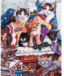 Brushme Számozott kifestő készlet, feszített vásznon, 40x50 cm - Vicces cicák