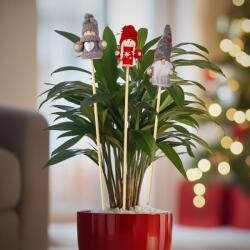 Family Collection Karácsonyi skandináv manó - leszúrható - 50 cm - 3 féle (GL657)