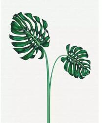 Brushme Számozott kifestő készlet, feszített vásznon, 40x50 cm - Trópusi Nr. 3