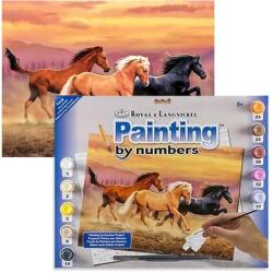 Royal & Langnickel Számozott kifestő készlet, akrilfesték+ecset, 29x39 cm - Vadlovak
