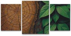 Festés számok szerint - Természetes kompozíció (3 darab vászonkép) Méret: V1 (3db), Keretezés: Keret nélkül (csak a vászon)