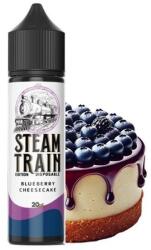 Steam Train - Blueberry Cheesecake 20ml/60ml