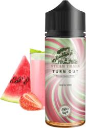 Steam Train Turn Out 24/20ml