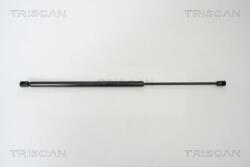 TRISCAN Amortizor portbagaj TRISCAN 8710 28225 (8710 28225) - automobilus