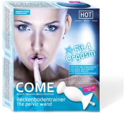 Come box 1 booklet, travellerbag, 2 sachets