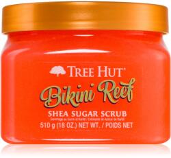 Tree Hut Bikini Reef cukros test peeling 510 g