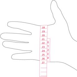 Leki Stella S Lady Mitten női síkesztyű, white-black 8