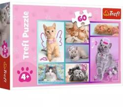 Trefl Trefl: Macskás puzzle - 60 darabos
