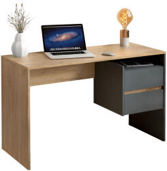 TEMPO KONDELA Számítógépasztal, Artisan Tölgy/Grafit, Tulio New - fizz