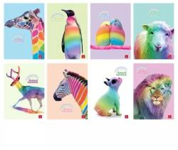 Patria Pigna: Animal Rainbow caiet cu linii A4 - diferite (P1111 1864)