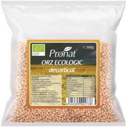Pronat Foil Pack Orz Bio Decorticat, 500 g