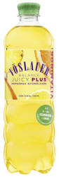 Vöslauer juicy ízesített ásványvíz (balance juicy plus) 750ml