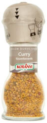 Kotányi curry 45g