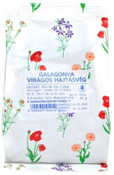 Gyógyfű virágos hajtásvég tea 40g