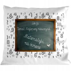  Pedagógusnapi Párna Tanárnő Ajándék (002)