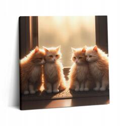 Wallfluent Canvas Fotó Vászon Hálószoba Fali Dekoráció Aranyos Kis Cicák (010030010270000075377)