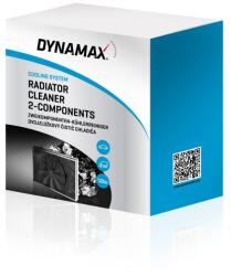 DYNAMAX Detergent cu 2 componente, pentru radiatoare (502713)