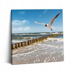 Wallfluent Vászonkép Canvas Étkezőszobába Dekoratív Madár a tengernél 60x60 cm (010030010270000001025)