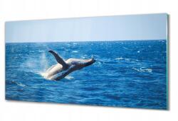 ArtprintCave Üveg falikép Bálna az óceánban 100x50 (010010010010100039551)