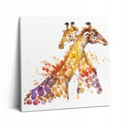 Wallfluent Vászonkép Canvas Előszoba Grafika Zsiráf Akvarell 60x60 cm (010030010270000075145)
