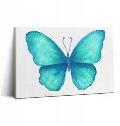 Wallfluent Fotó Vászonkép Gyönyörű Nyomtatás Szoba Türkiz Nyári Pillangó 30x20 cm (010030010150000075165)